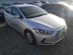 HYUNDAI - ELANTRA