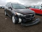 KIA - SORENTO