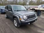 JEEP - PATRIOT