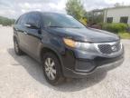 KIA - SORENTO