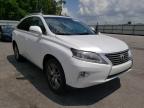 LEXUS - RX350