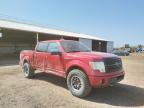 FORD - F-150