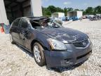 NISSAN - MAXIMA