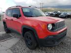 JEEP - RENEGADE