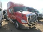 FREIGHTLINER - CASCADIA 1