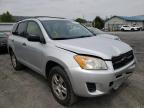 TOYOTA - RAV4