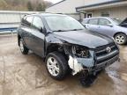 TOYOTA - RAV4