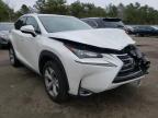 LEXUS - NX