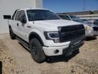 FORD - F-150