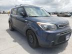 KIA - SOUL