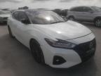 NISSAN - MAXIMA