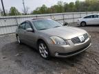 NISSAN - MAXIMA