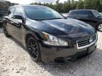 NISSAN - MAXIMA