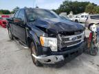FORD - F-150