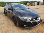NISSAN - MAXIMA