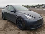 TESLA - MODEL Y