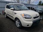 KIA - SOUL