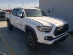 TOYOTA - TACOMA