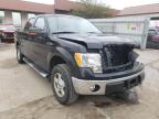 FORD - F-150
