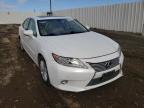 LEXUS - ES350