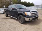 FORD - F-150