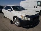 NISSAN - MAXIMA