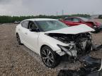 NISSAN - MAXIMA