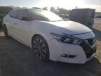 NISSAN - MAXIMA