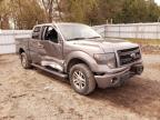 FORD - F-150