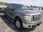 FORD - F-150