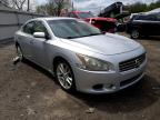 NISSAN - MAXIMA