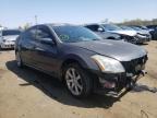 NISSAN - MAXIMA