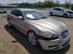 JAGUAR - XF