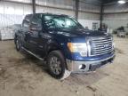 FORD - F-150