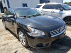 NISSAN - MAXIMA