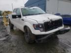 FORD - F-150