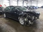 NISSAN - MAXIMA