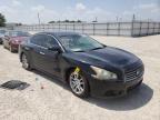 NISSAN - MAXIMA