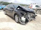 NISSAN - MAXIMA