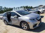HONDA - ODYSSEY