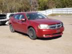 DODGE - AVENGER