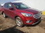 FORD - ESCAPE