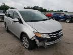 HONDA - ODYSSEY