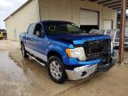 FORD - F-150