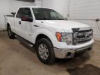 FORD - F-150