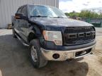 FORD - F-150