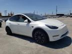 TESLA - MODEL Y