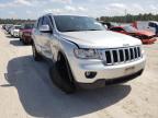 JEEP - CHEROKEE