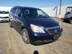 HONDA - ODYSSEY