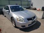 NISSAN - MAXIMA